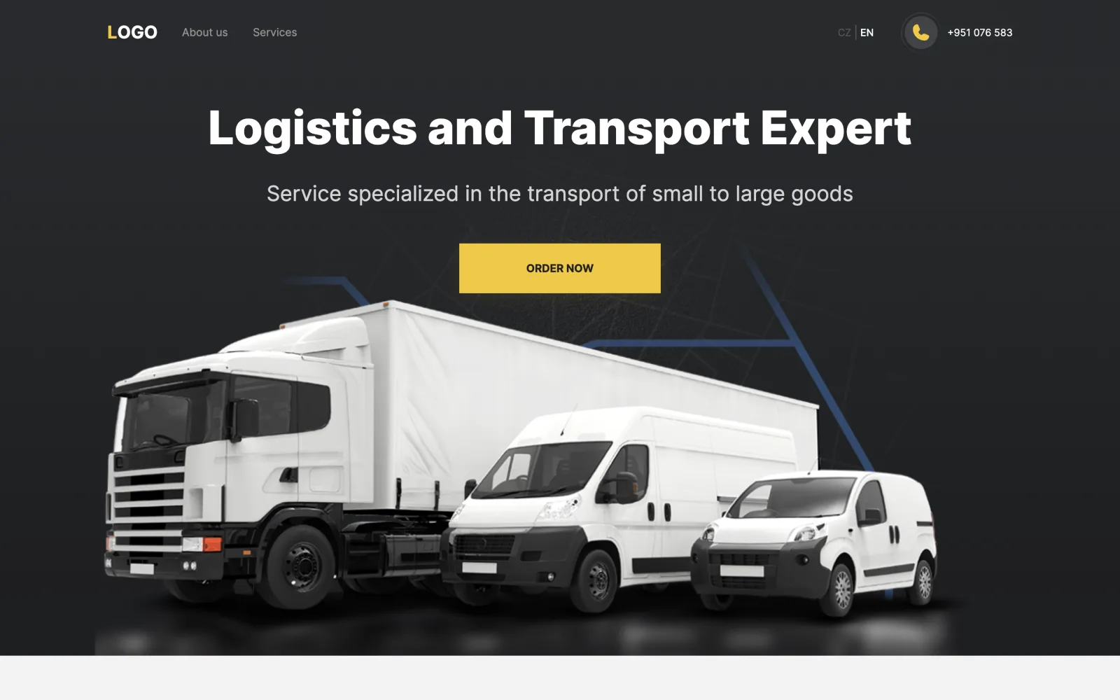 Logistics Expert